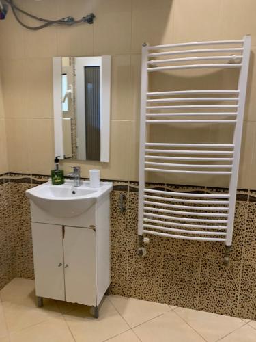 Apartment with Terrace image 7