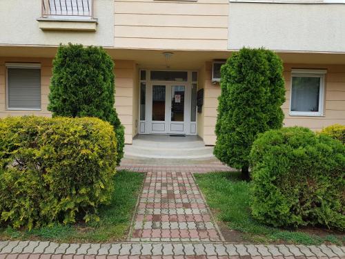 One-Bedroom Apartment image 3