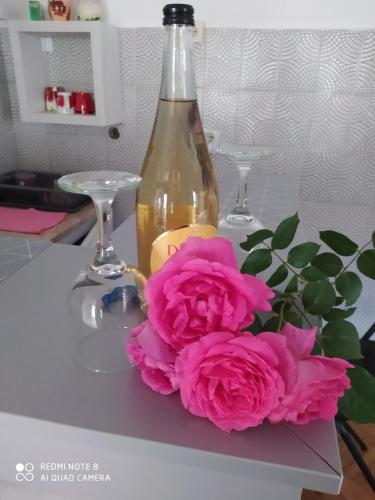 Apartmani Marić In - image 3