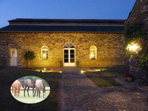 Le Relais du Haras chambre d'hôte Pouancé