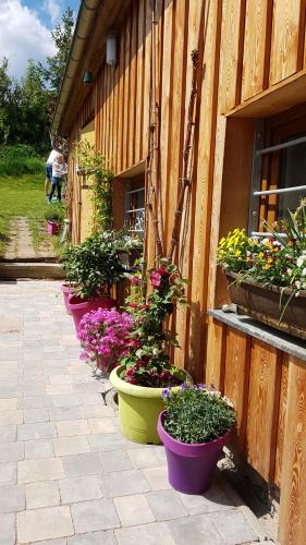 Apartment Schneestern in Suhl