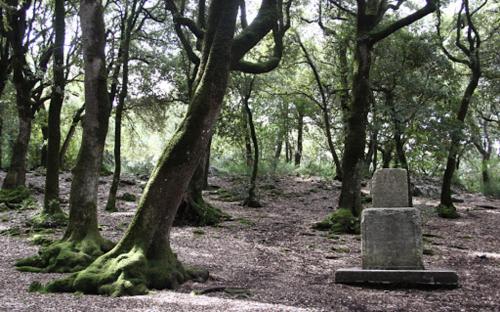 Palazzo Lauri Spoleto