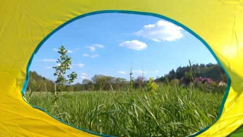 Organistowka