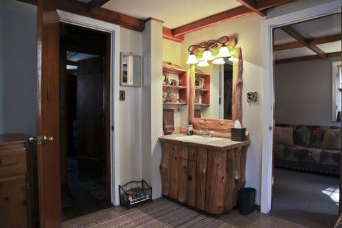 Cabin #4 - Loons Landing cabin in Carp Lake, USA