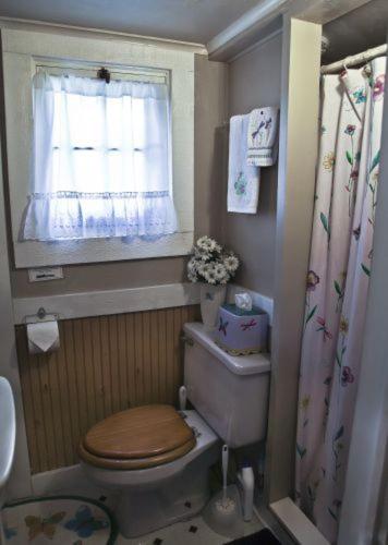 Cabin #3 - Chantilly cabin in Carp Lake, USA