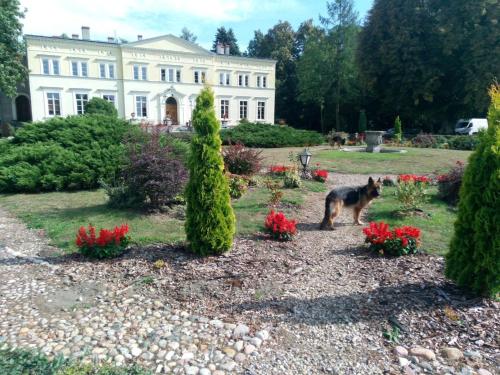 Pałac Kwilecki -AGROTURYSTYKA PREMIUM & SPA - Accommodation - Kwilcz