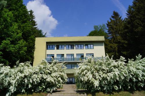 Accommodation in Volfířov