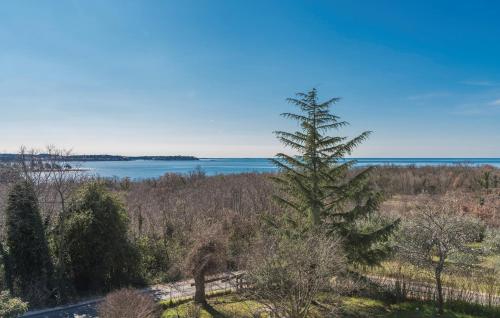 Apartments Ulika Apartments Ulika