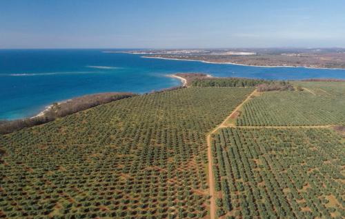 Apartments Ulika Apartments Ulika