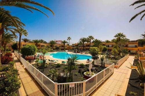 Swimming pool, Luxury Cayetana, by Comfortable Luxury in Fuerteventura