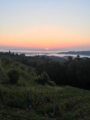 沃姆-卢克尔宾馆 沃姆-卢克尔宾馆