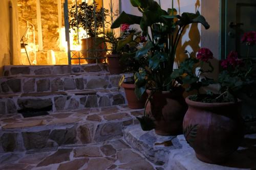 George Studio - image 10