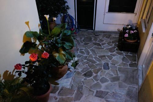 George Studio - image 2