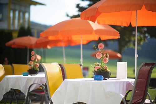 CIP Hotel Tramelan Switzerland