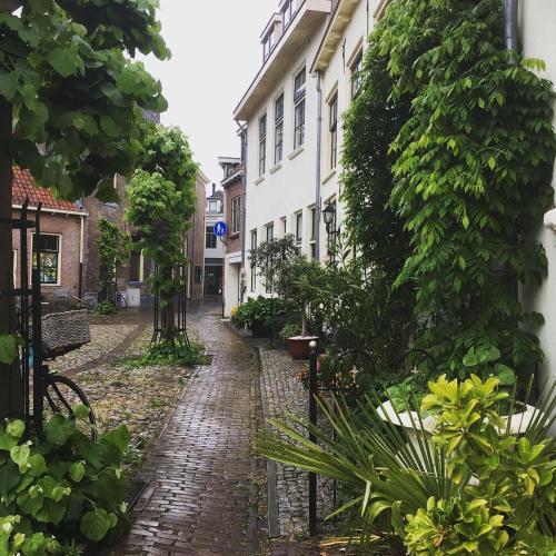 Közeli látványosságok, B&B Het Vogeltje in Strokel