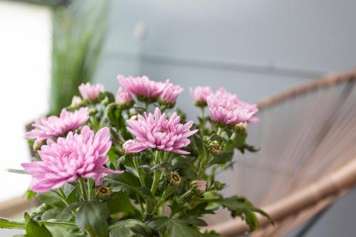 Vasko luxurious suites, Kelo