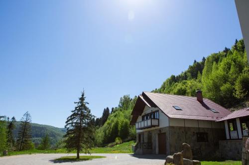 Kamyanka, Jaremče