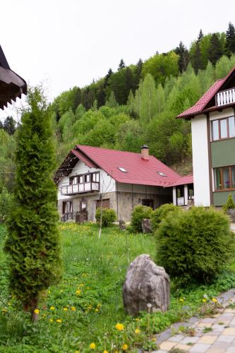 Kamyanka, Jaremče (fotografie 6)