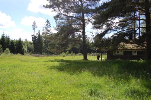 Lycka, Torestorp (foto 5)