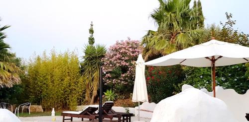 Garden, Quinta dos Cochichos - Country Houses in Olhao