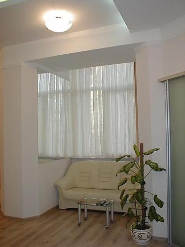 Ok Apartments near Palace Sporta - Kiev - image 8