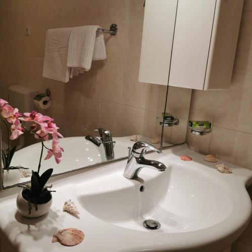 One-Bedroom Apartment image 2