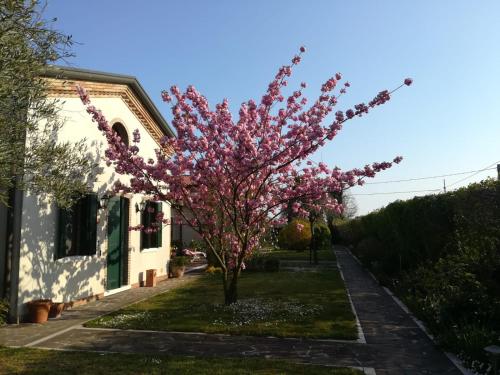 Casa Pianta Cavallino Treporti