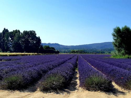 Gardiole, Bonnieux (Foto 8)