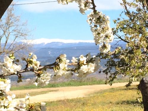 Gardiole, Bonnieux (Foto 7)