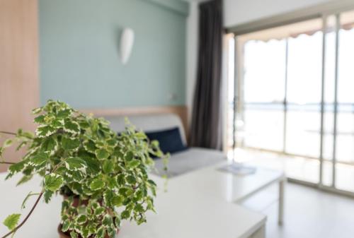 Flats Friends Atlantida - image 7