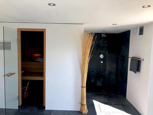 Dreamapartment La Vigna Living mit eigenem Aussenpool & Sauna - Weil am Rhein - image 2