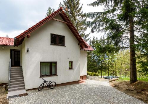Apartament Biały Domek - 5D Apartamenty, Szklarska Poręba (zdjęcie 7)