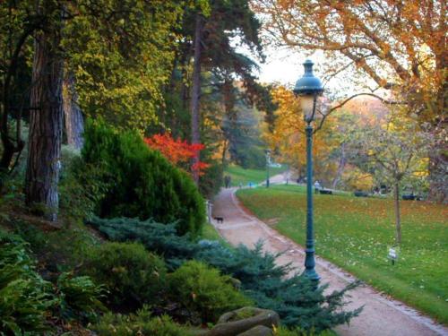 Hôtel Beaunier - image 5