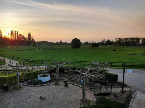 Surrounding environment, Bed and Breakfast Maas en Waal in Winssen