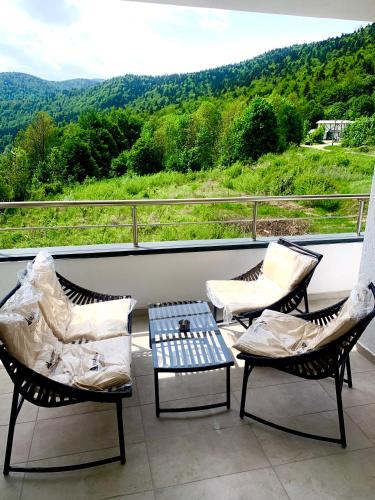 Relax View Ap with 2 Bedrooms and Parking - Apartment - Sinaia