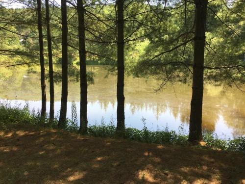 Tentrr - Moonlit Pond - image 8