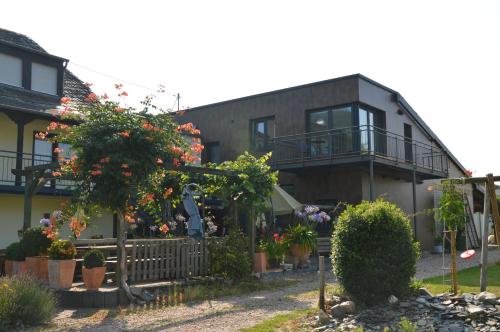 Wein & Gästehaus Porten-Becker - Apartment - Köwerich