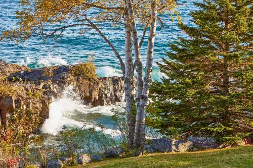 Cozy Schroeder Studio with Deck on Lake Superior! - image 4