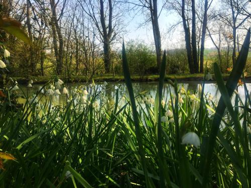 ChambresAPart photo 22