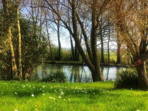 ChambresAPart photo 16