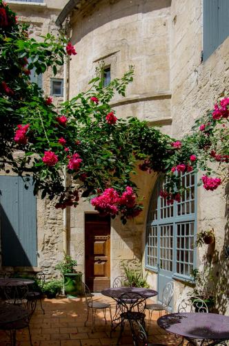 Hôtel du Musée - Hôtel - Arles