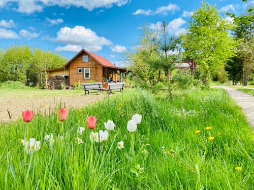 Domek pod lasem - Accommodation - Pasłęk