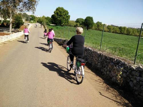  Bed & Breakfast La Collinetta in Locorotondo