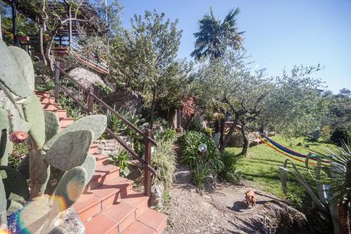  La Fattoria di Nonna Eugenia in Lerici