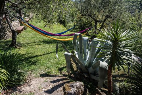  La Fattoria di Nonna Eugenia in Lerici