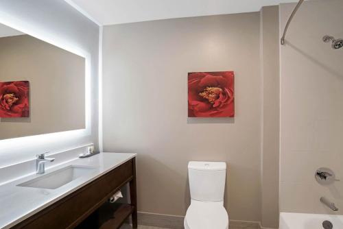 La Quinta by Wyndham Tuscaloosa McFarland - image 3