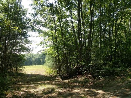 Tentrr - Valhalla Farm - main image