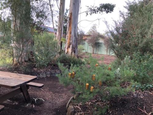 Marysville Holiday Park photo