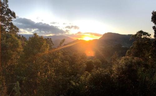 Pleasant Sun View Ella - image 5