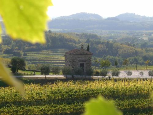 Agriturismo Ronchi Di Sant'Egidio - image 11